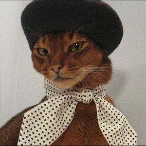 Meet your Posher, Kaitlin